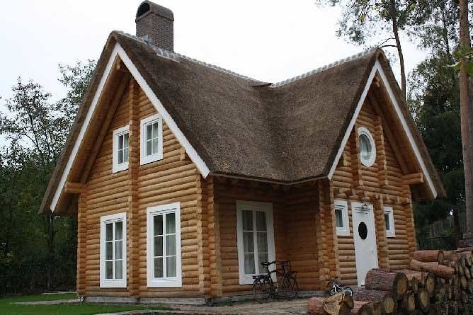 Тростниковая крыша в деревянном доме