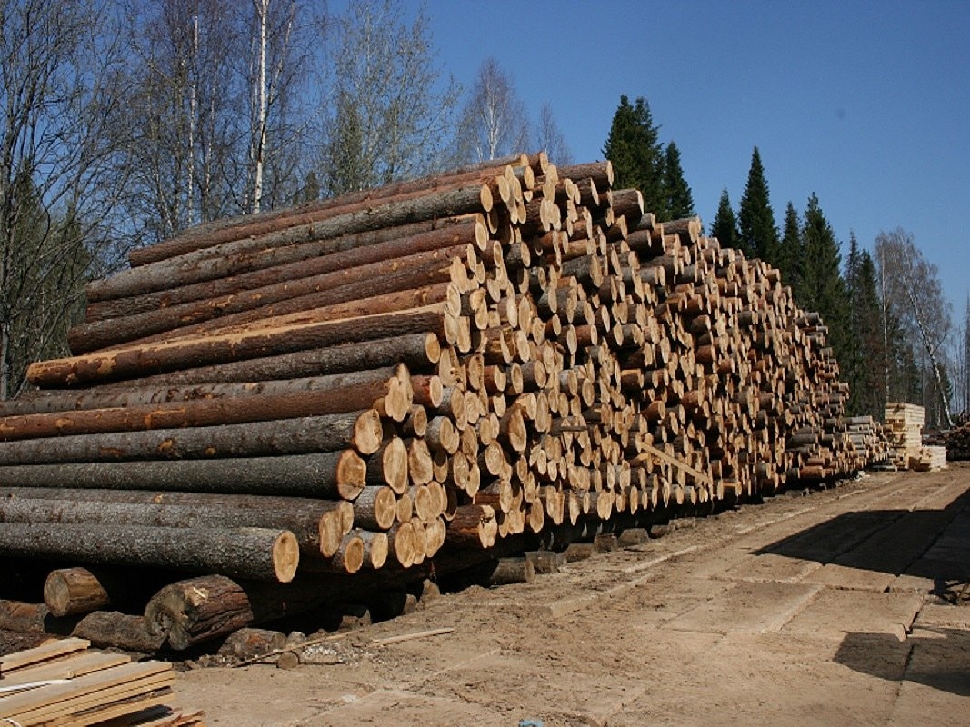 Льготный лес для строительства деревянного дома
