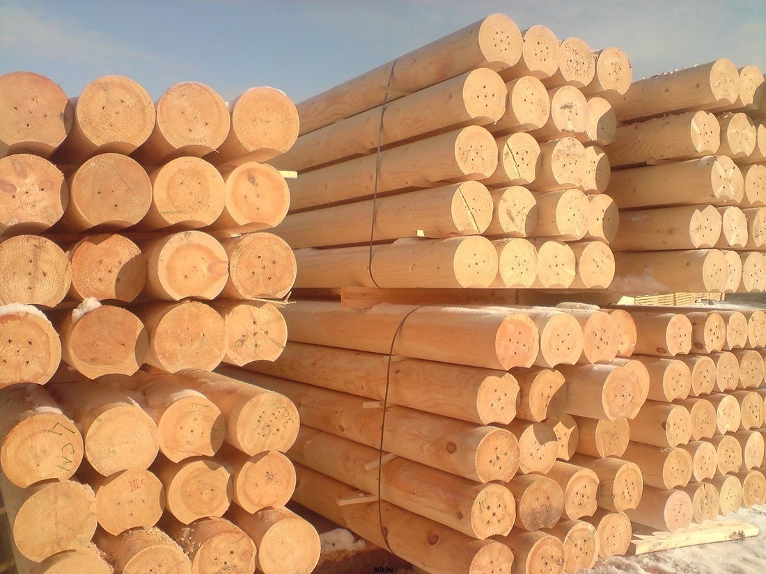 Экспорт деревянных домов из Беларуси в Индию