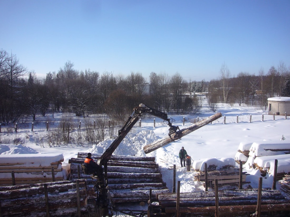 Зимний лес при строительстве деревянного дома