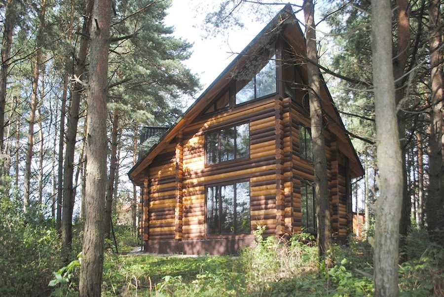 Биомиметика и бионика в архитектуре деревянного дома ProTerra