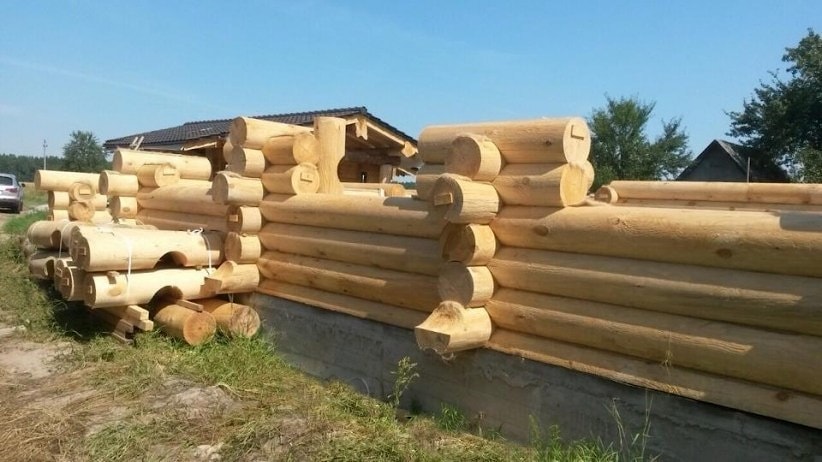 Начало строительство дома "Китеж" в Беларуси, из бревна очень большого диаметра   