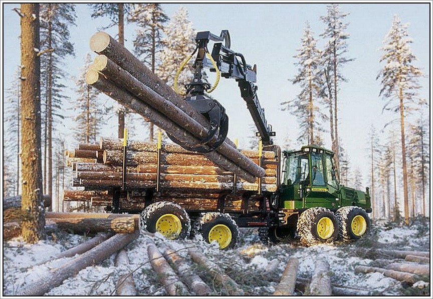 Зимний лес для строительства дома из бруса   
